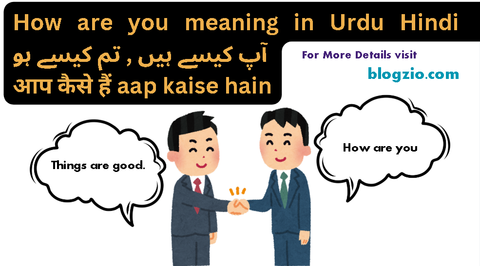 How are you meaning in urdu Hindi with details