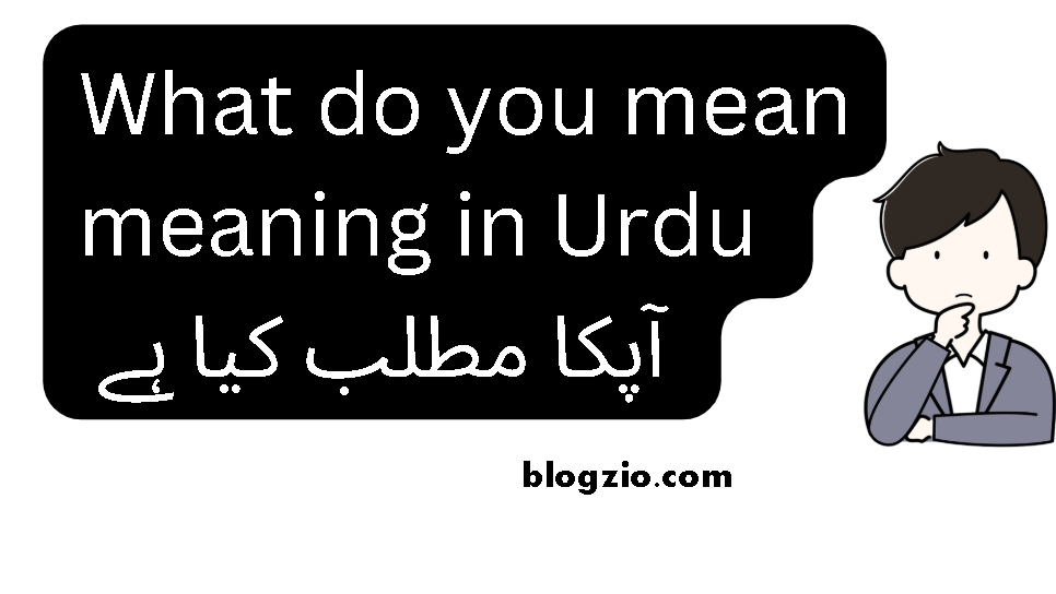 What do you mean meaning in Urdu