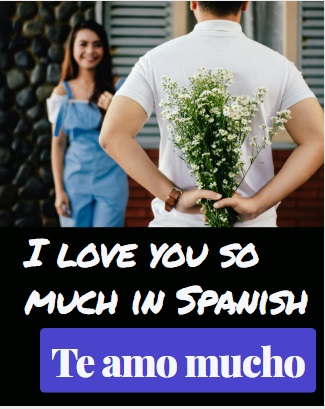 I love you so much in Spanish