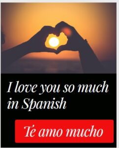 I love you so much in Spanish
