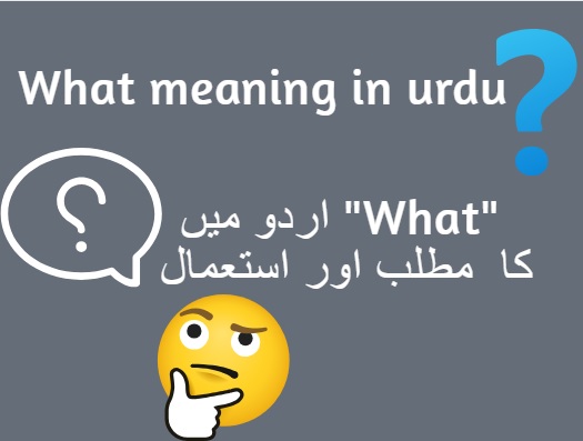 what meaning in urdu